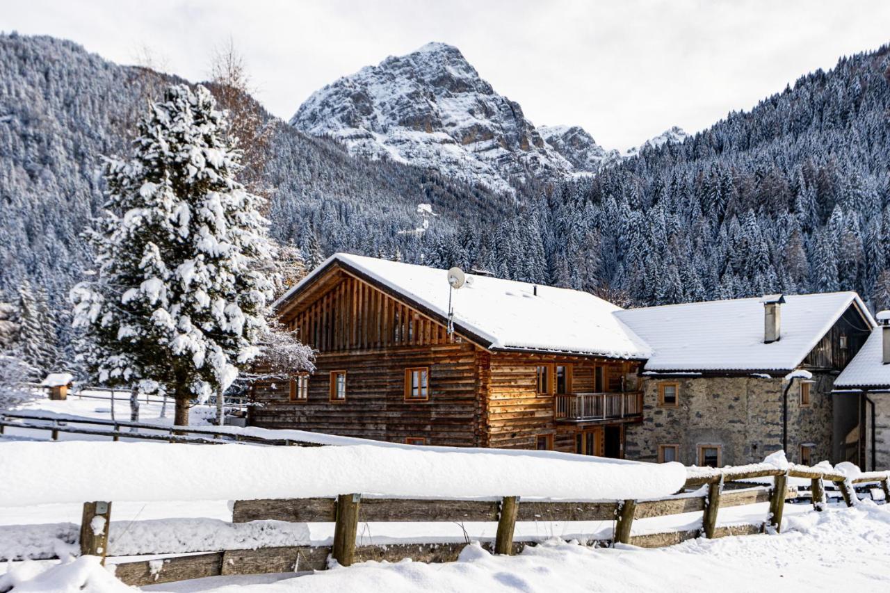 Nido Del Brenta Daire Madonna Dış mekan fotoğraf