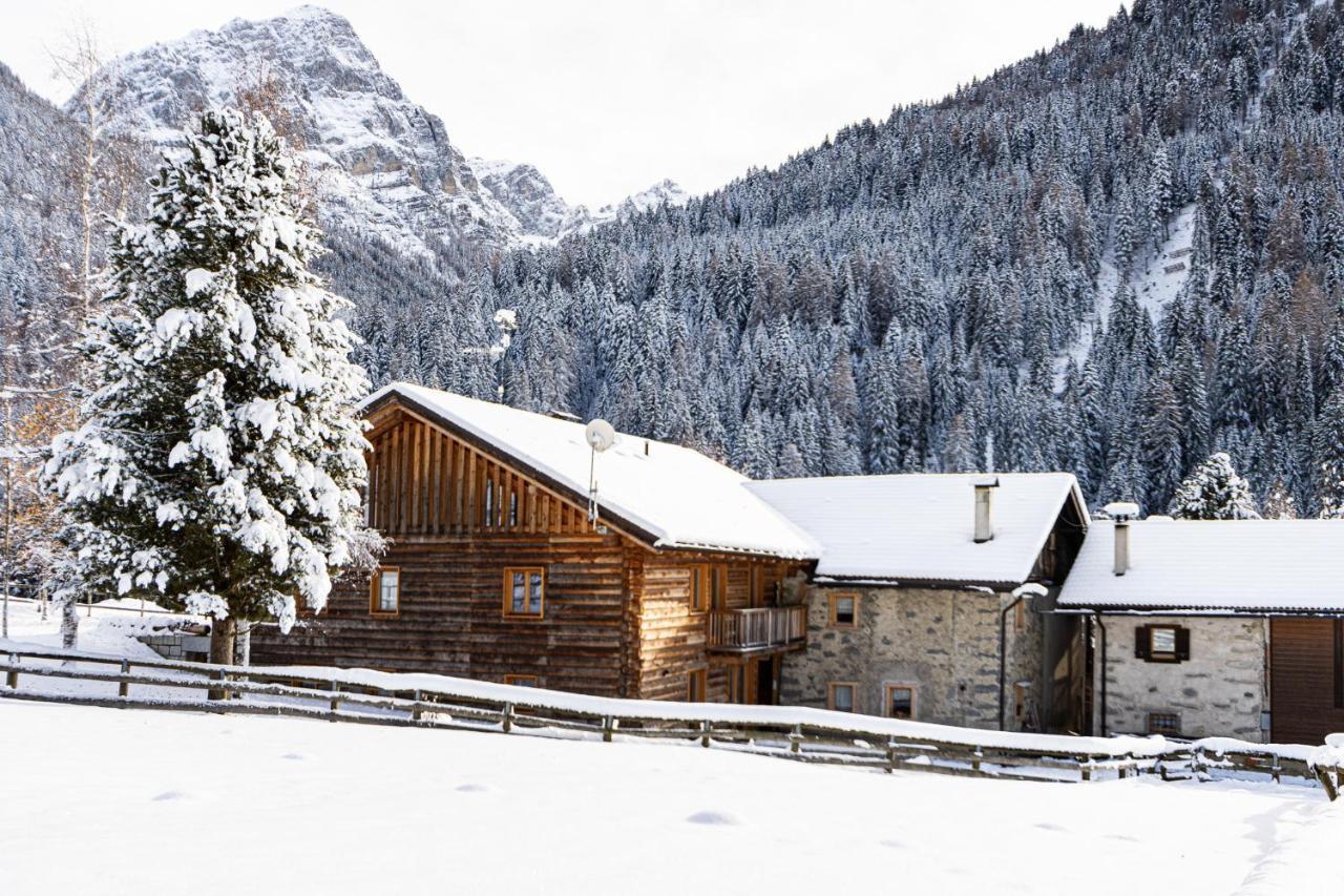 Nido Del Brenta Daire Madonna Dış mekan fotoğraf