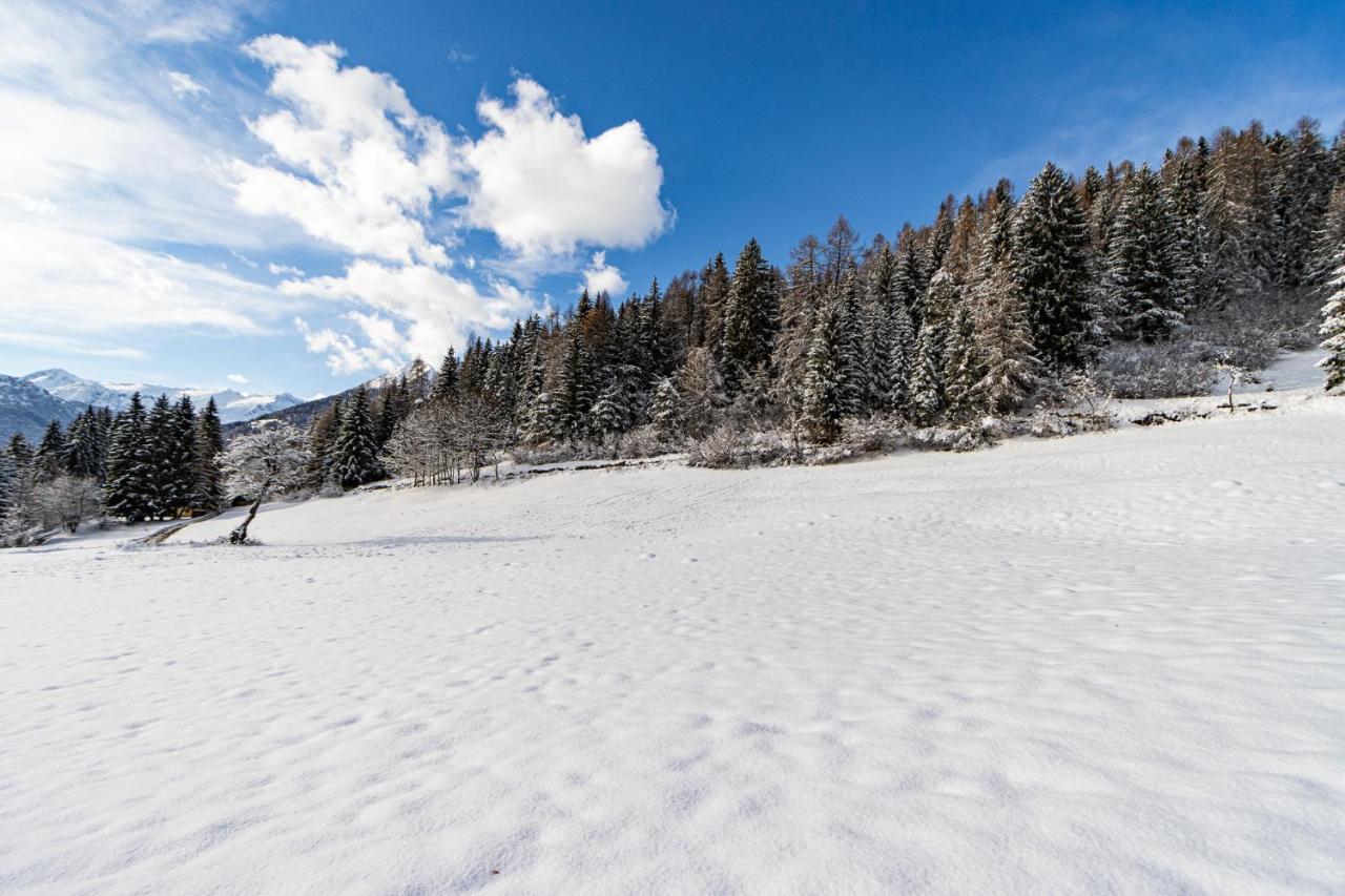 Nido Del Brenta Daire Madonna Dış mekan fotoğraf