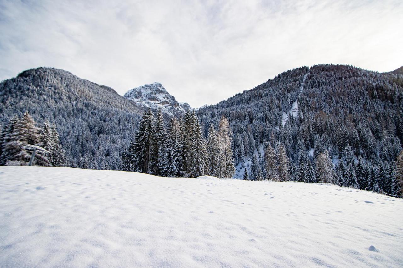 Nido Del Brenta Daire Madonna Dış mekan fotoğraf